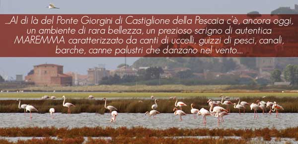 La riserva naturale  di diaccia botrona